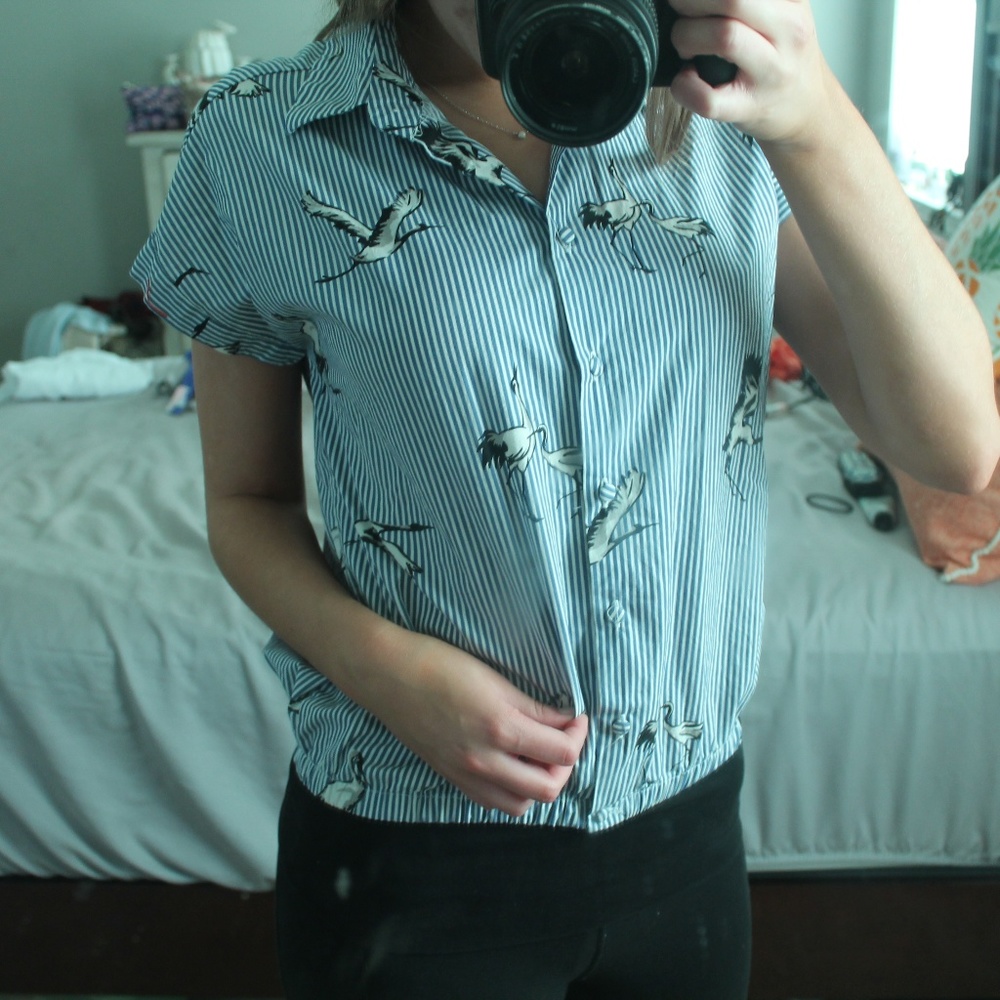 Zara striped crane button down top